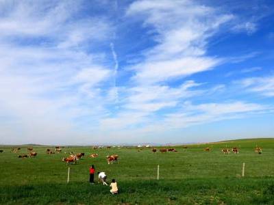 Livestock fencing for horse and cattle in a big farm.